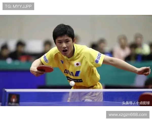 南京乒乓球队力求突破的变革之路与热议背后的深层意义