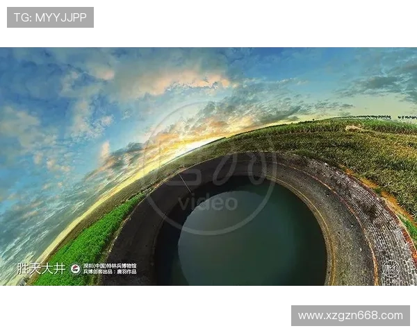 深圳乒乓球队转型之路的挑战与机遇全景观察