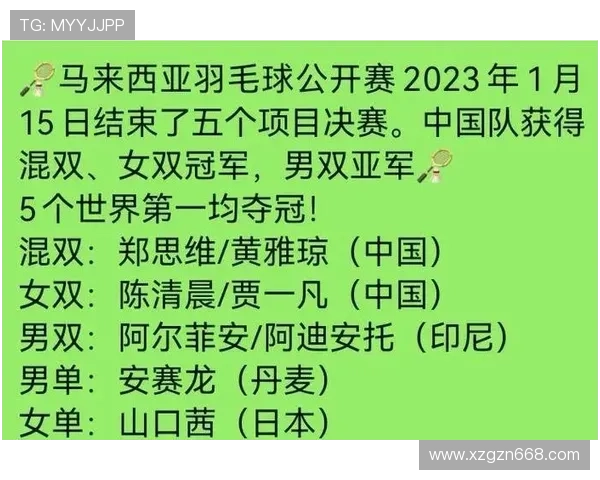 深圳羽毛球队在冠军赛中的意识表现分析与总结