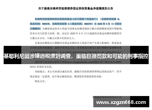 基耶利尼因涉嫌逃税遭到调查，面临巨额罚款和可能的刑事指控