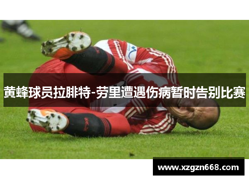 黄蜂球员拉腓特-劳里遭遇伤病暂时告别比赛