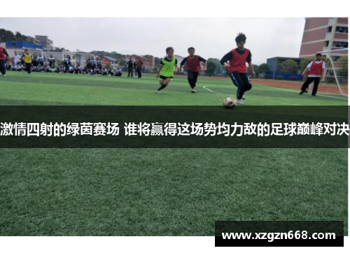 激情四射的绿茵赛场 谁将赢得这场势均力敌的足球巅峰对决