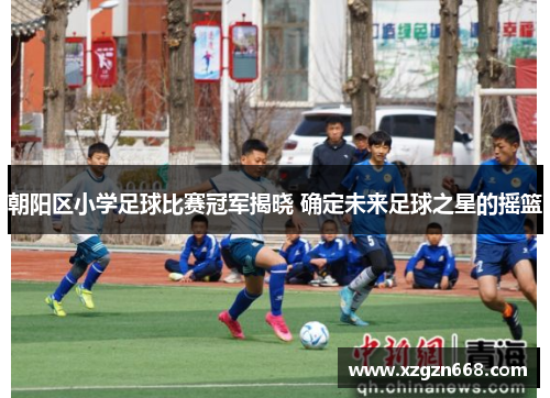 朝阳区小学足球比赛冠军揭晓 确定未来足球之星的摇篮