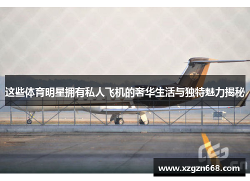这些体育明星拥有私人飞机的奢华生活与独特魅力揭秘