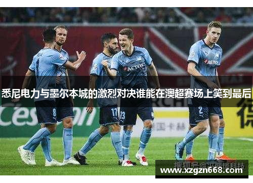 悉尼电力与墨尔本城的激烈对决谁能在澳超赛场上笑到最后